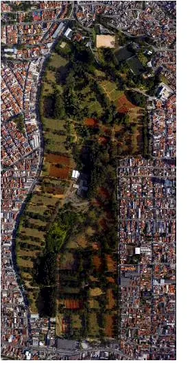 Vista aérea do Cemitério da Vila Formosa