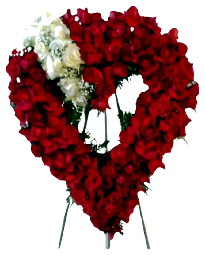 Coração de Rosas Vermelhas — Cemitério da Vila Formosa